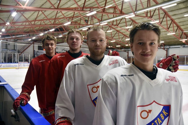 Avesta BK ska fokusera på spelarutvecklingen
