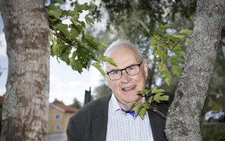 IFO förväntas gå plus