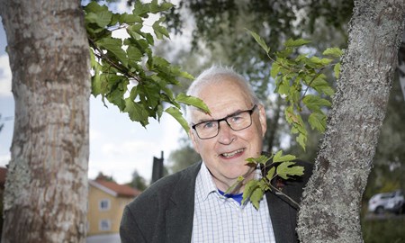 IFO förväntas gå plus
