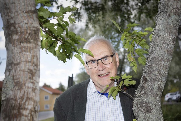 IFO förväntas gå plus