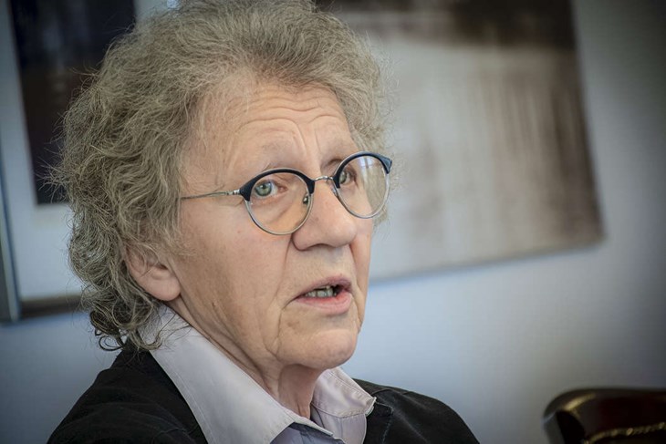Pia Aronsson (V) berättar om de kompromisser samtliga partier fått göra för att skapa majoriteten. "Man får vara beredd att inte få igenom hela partiprogrammet", säger hon. Foto: Christian Larsen