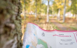 Ökad aktivitet med Hittaut