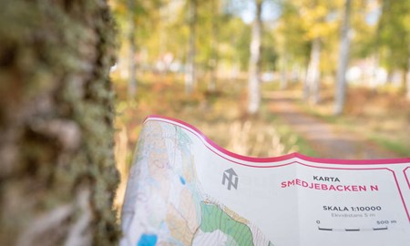 Ökad aktivitet med Hittaut