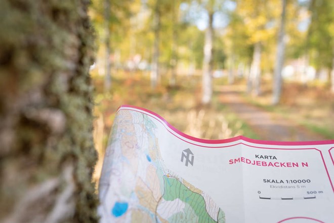 Ökad aktivitet med Hittaut