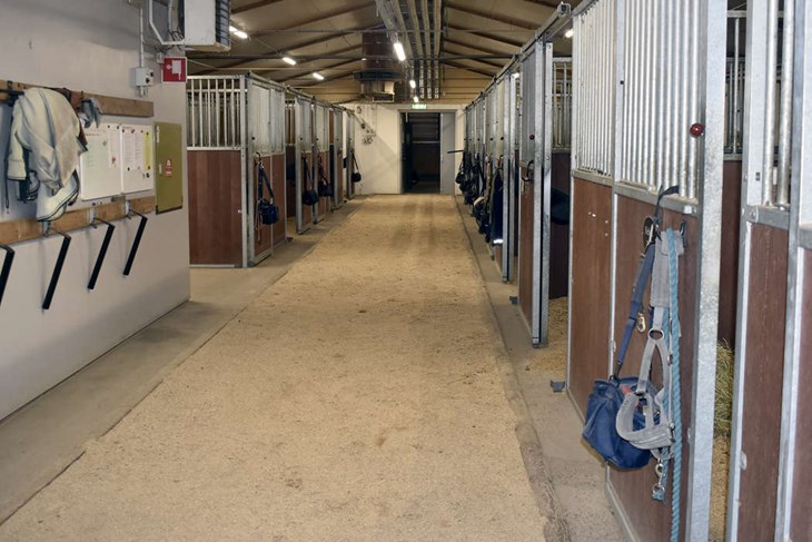 Genom att stänga dörren till stallet ska inte hästarna påverkas av eventuella skrik från besökarna under spökvandringen. Foto: Pär Sönnert