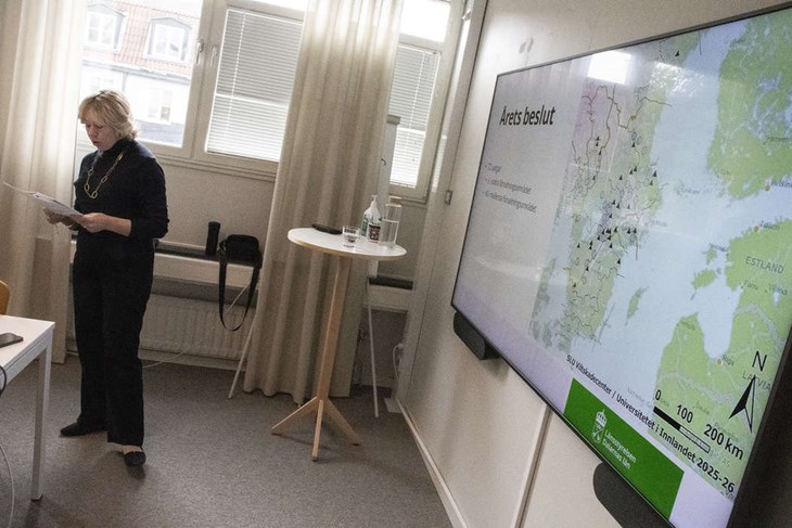Landshövding Helena Höij förklarade turerna kring kommande licensjakt på varg. Jakten planeras starta den 2 januari 2027. Foto: Christian Larsen