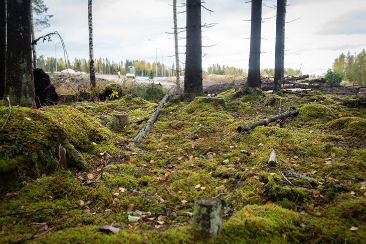 Översiktsplaneringen handlar om hur kommunens mark- och vattenområden ska användas i framtiden. Exempelvis när det gäller naturskydd, friluftsliv, teknisk infrastruktur och etablering av nya bostads- eller industriområden. Foto: Johan Lindgren